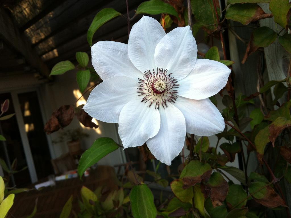 Calme Et Nature, Ba Hotel กูฌ็อง-เมสทราส ห้อง รูปภาพ